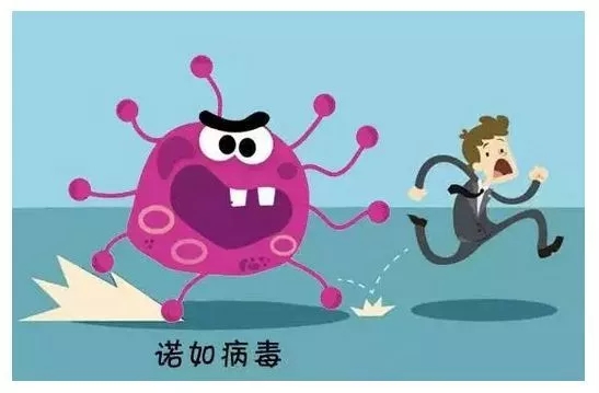 【热点】诺如病毒高发，家庭预防、护理早知道！