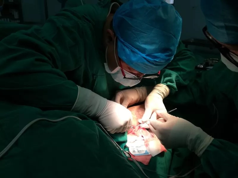 年界七十，无路可“透”？人工再造“生命线”！