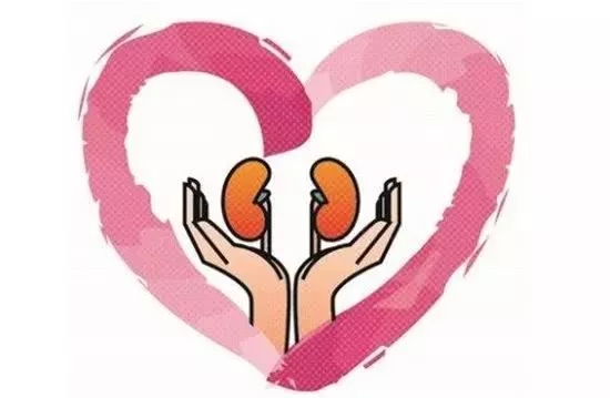 肾有话说：今天，你爱我了吗？