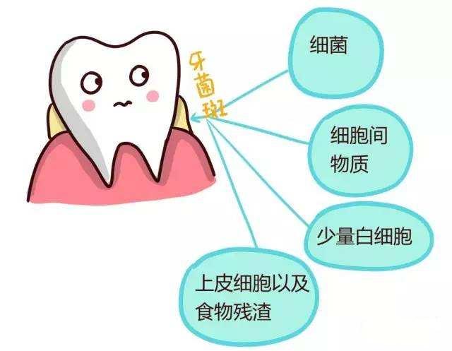 科普 ▏关于“老掉牙”，“年纪”表示不背锅！