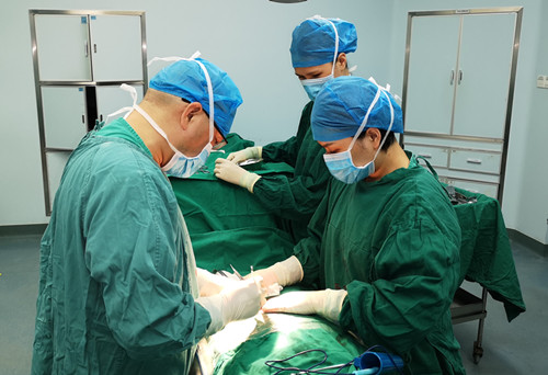 怀孕23周，卵巢囊肿蒂扭转3圈，她的孩子能保住吗？