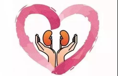 【惠民通知】国内知名专家来义诊，乐从家门口享“肾健康”