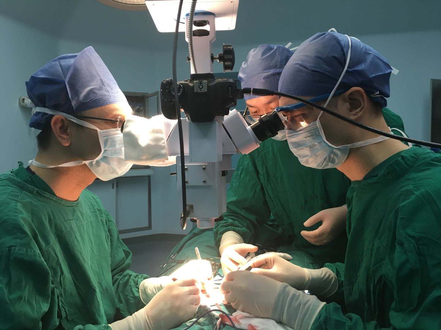 “发丝上的艺术”——泌尿外科团队成功开展胡桃夹综合征的显微分流手术